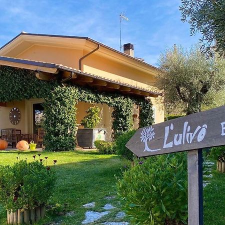 L' Ulivo Bed & Breakfast Терамо Экстерьер фото