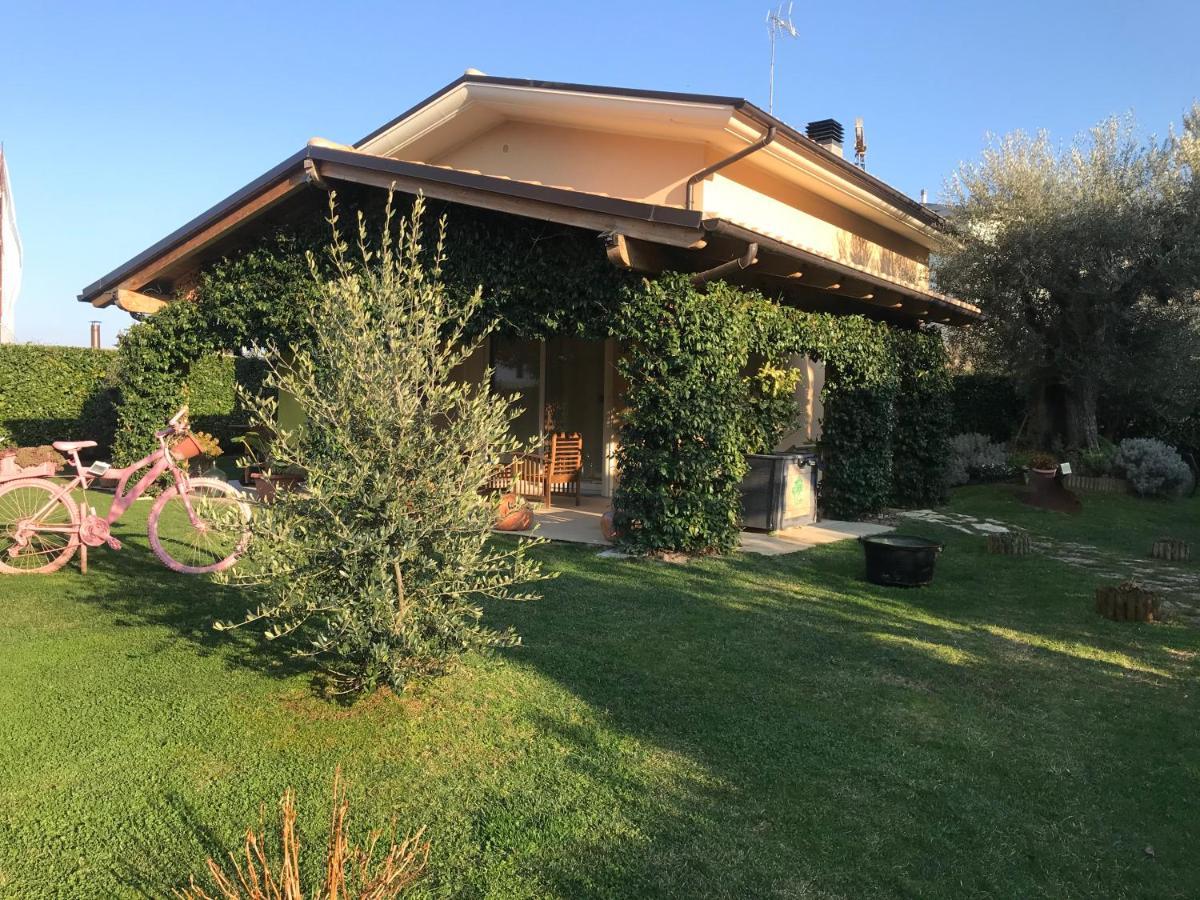 L' Ulivo Bed & Breakfast Терамо Экстерьер фото